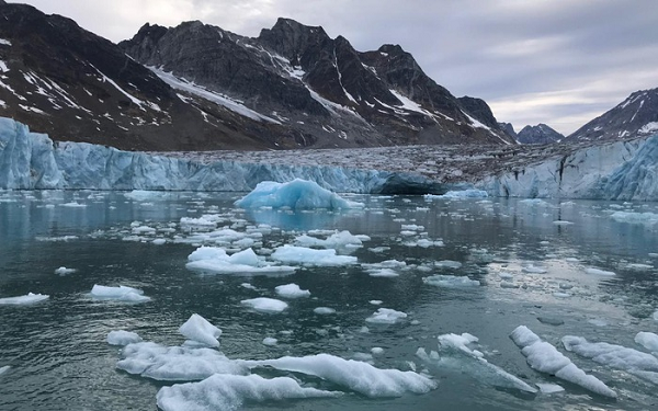 Các chuyên gia cho hay kế hoạch trên sẽ nhắm mục tiêu vào các vùng cận cực thay vì can thiệp trên phạm vi toàn cầu.