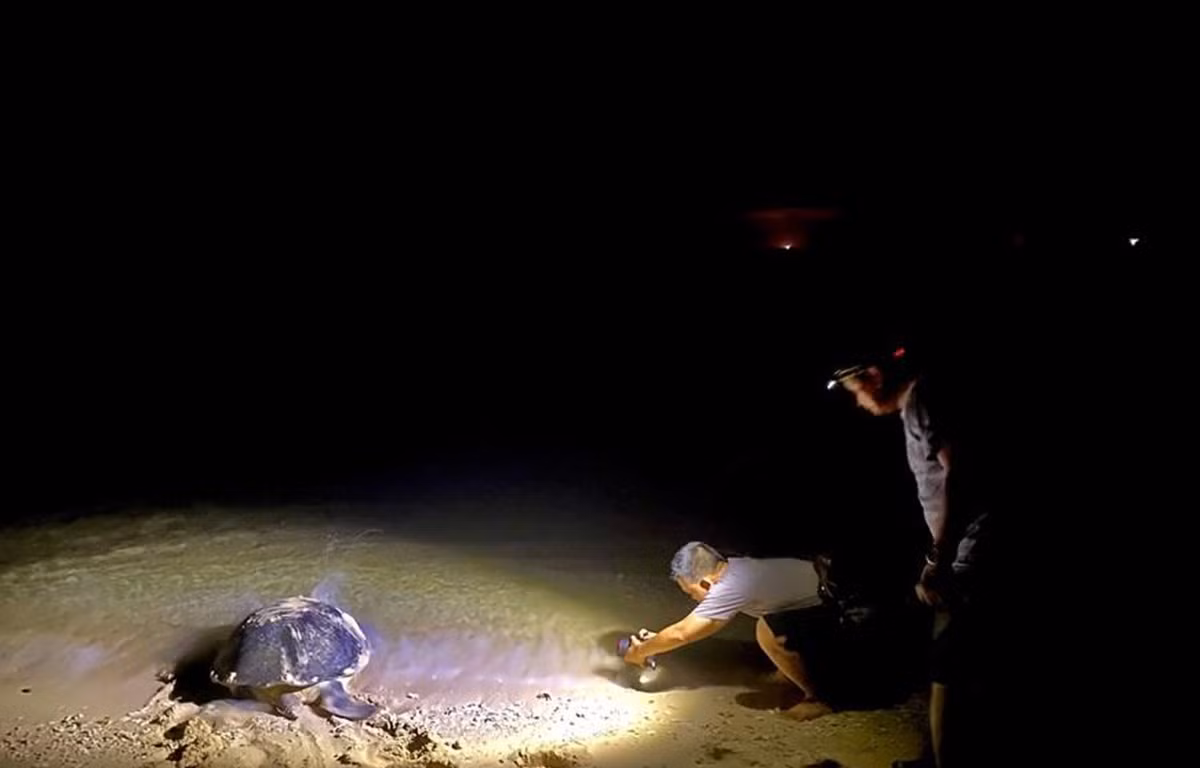 Báo cáo trên được tài trợ bởi Chương trình do Liên minh Châu Âu trong khuôn khổ Dự án “Hợp tác chống tội phạm liên quan đến động vật hoang dã” do Tổ chức WCS điều phối và PanNature là đối tác thực hiện dự án tại Việt Nam.