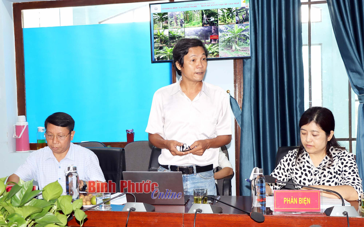 Đồng thời, nhóm tác giả đề nghị tỉnh Bình Phước tiếp tục cho triển khai nghiên cứu đưa ra các mô hình trồng phù hợp, hiệu quả, từ đó làm cơ sở ứng dụng ra người dân địa phương gây trồng và phát triển loài chuối chân voi... Tại cuộc họp, Hội đồng Khoa học công nghệ tỉnh bình Phước đã bỏ phiếu thống nhất nghiệm thu đề tài cho nhóm tác giả. Ảnh: Bình Phước Online.