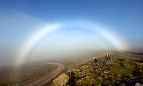 Stu Berman chia sẻ rằng chưa bao giờ nhìn thấy cảnh tượng nào đặc biệt như vậy.