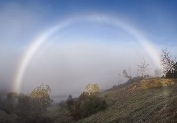 Cầu vồng trắng cũng như vậy. Nó luôn đối diện với Mặt trời nhưng "cầu vồng trắng" hình thành nhờ những giọt nước nhỏ trong lớp sương mù hoặc đám mây thay vì các hạt mưa lớn hơn.