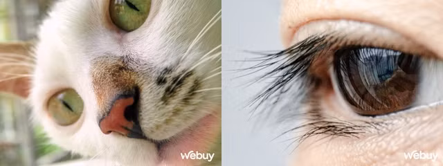 Ong kinh sieu can canh Ulanzi giup iPhone 5C chup dep hon iPhone 14 Pro-Hinh-10