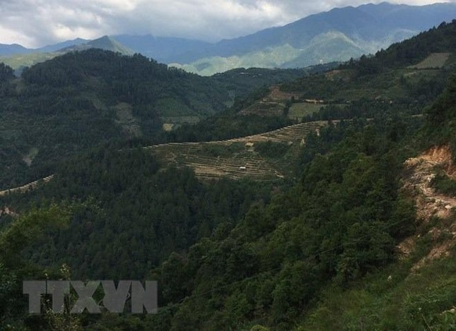 Theo ông Hoàng Tiến Long, Giám đốc Bảo tàng tỉnh Yên Bái, sau khi nhận có thông tin về việc phát hiện các khối đá khắc cổ nằm trong rừng phòng hộ ở thôn Háng Chua Say, xã Chế Cu Nha, huyện Mù Cang Chải, cán bộ bảo tàng đã tiếp cận, nghiên cứu và đánh giá những khối đá đó. Ảnh: TTXVN.