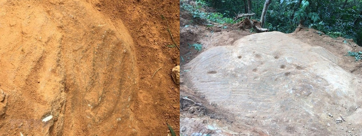 Có niên đại vào khoảng thế kỷ 16 - 17, đây có thể vẫn là các bản "thiết kế ruộng bậc thang” hoặc họa lại ruộng bậc thang khi chủ nhân của những thửa ruộng bậc thang cảm nhận được vẻ đẹp của công trình do chính chủ thể tạo nên. Ảnh: TTXVN.