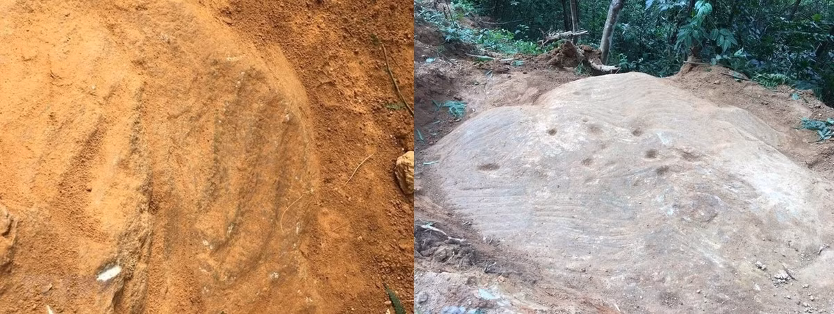 Có niên đại vào khoảng thế kỷ 16 - 17, đây có thể vẫn là các bản "thiết kế ruộng bậc thang” hoặc họa lại ruộng bậc thang khi chủ nhân của những thửa ruộng bậc thang cảm nhận được vẻ đẹp của công trình do chính chủ thể tạo nên. Ảnh: TTXVN.