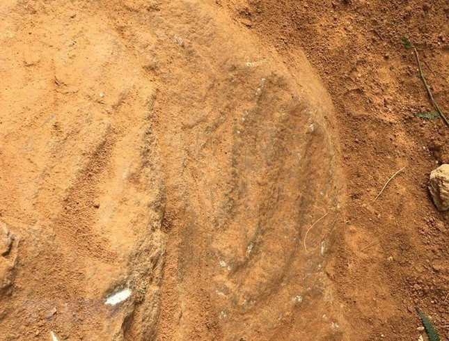 Các khối đá khắc cổ có kích thước từ 1 - 20 m3. Chúng nằm rải rác cách nhau 7-80m. Trong số này có khối đá khắc cổ với chiều dài hơn 2m và rộng khoảng 2m. Ảnh: TTXVN.