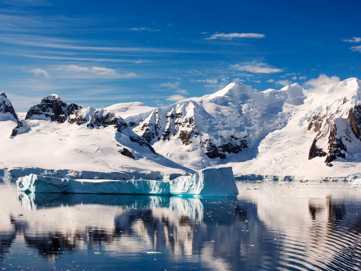 Các nhà nghiên cứu nhận định dịch bệnh này được cho là xuất phát từ việc nắng nóng khắc nghiệt bất thường làm tan chảy lớp băng vĩnh cửu và làm lộ ra xác một con tuần lộc bị nhiễm bệnh. Đợt bùng phát bệnh than gần nhất trước đó tại khu vực miền bắc Siberia là vào năm 1941.