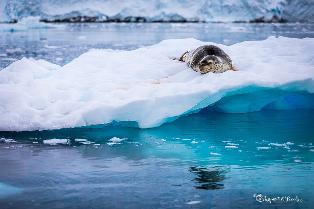 Các nhà khoa học thuộc Đại học Ottawa của Canada mới công bố kết quả nghiên cứu về tình trạng biến đổi khí hậu đang làm đẩy nhanh tốc độ tan băng trên bề mặt Trái đất. Hậu quả là nhiều loại vi khuẩn vốn đang ngủ đông trong lớp băng sống lại trong các vùng nước trước kia là băng.