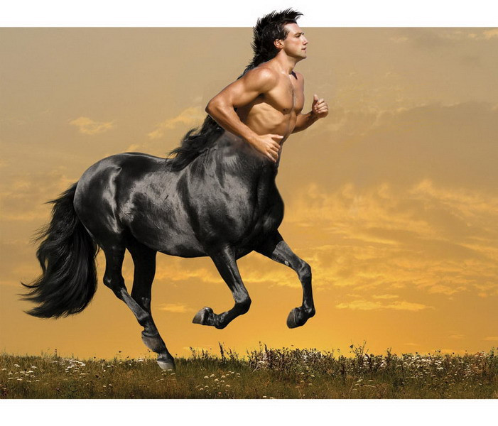 Trước những câu chuyện về nhân mã, nhiều người tò mò liệu sinh vật thần thoại này có thật hay không. Trước câu hỏi này, các chuyên gia đã thực hiện các nghiên cứu nhằm tìm ra lời giải.