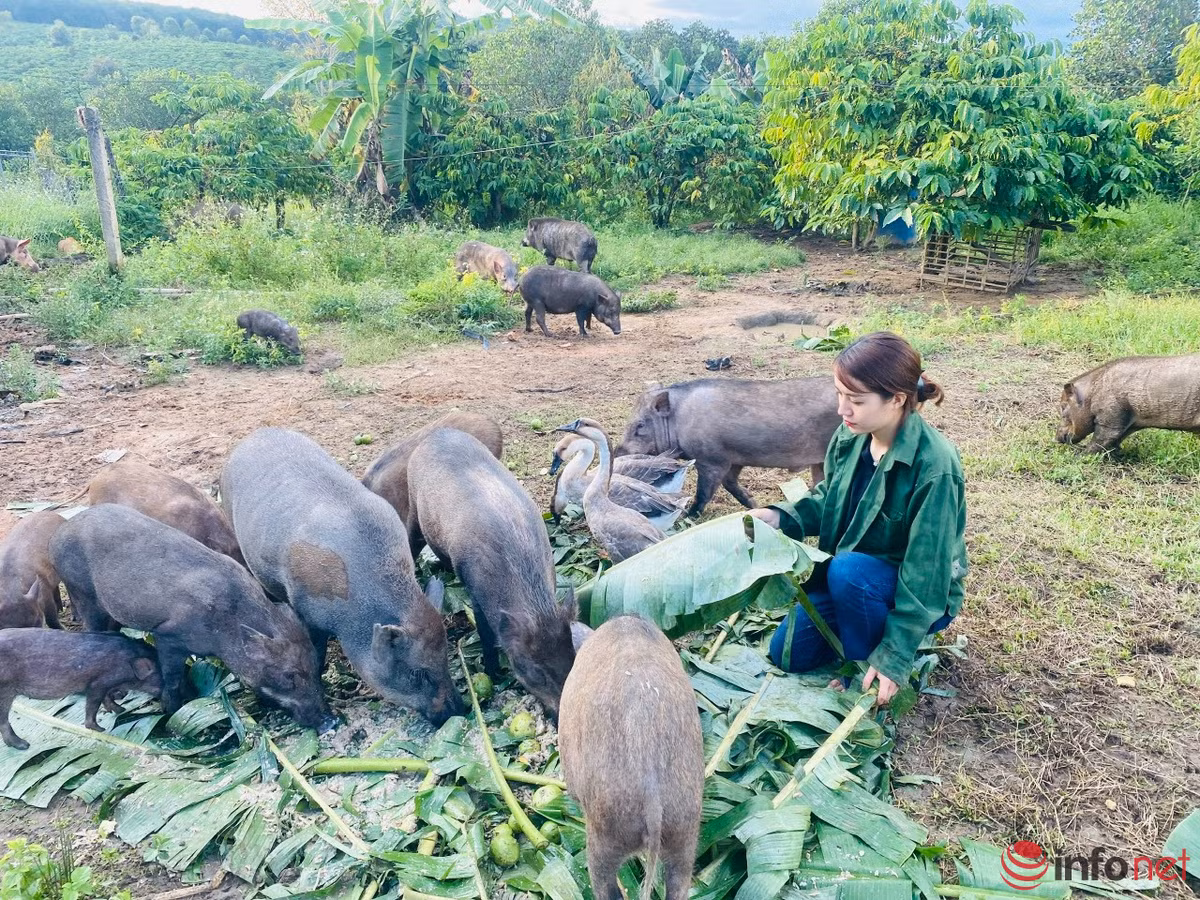 Roi pho sau 10 nam gan bo, co gai tre ve que lam nong dan-Hinh-2