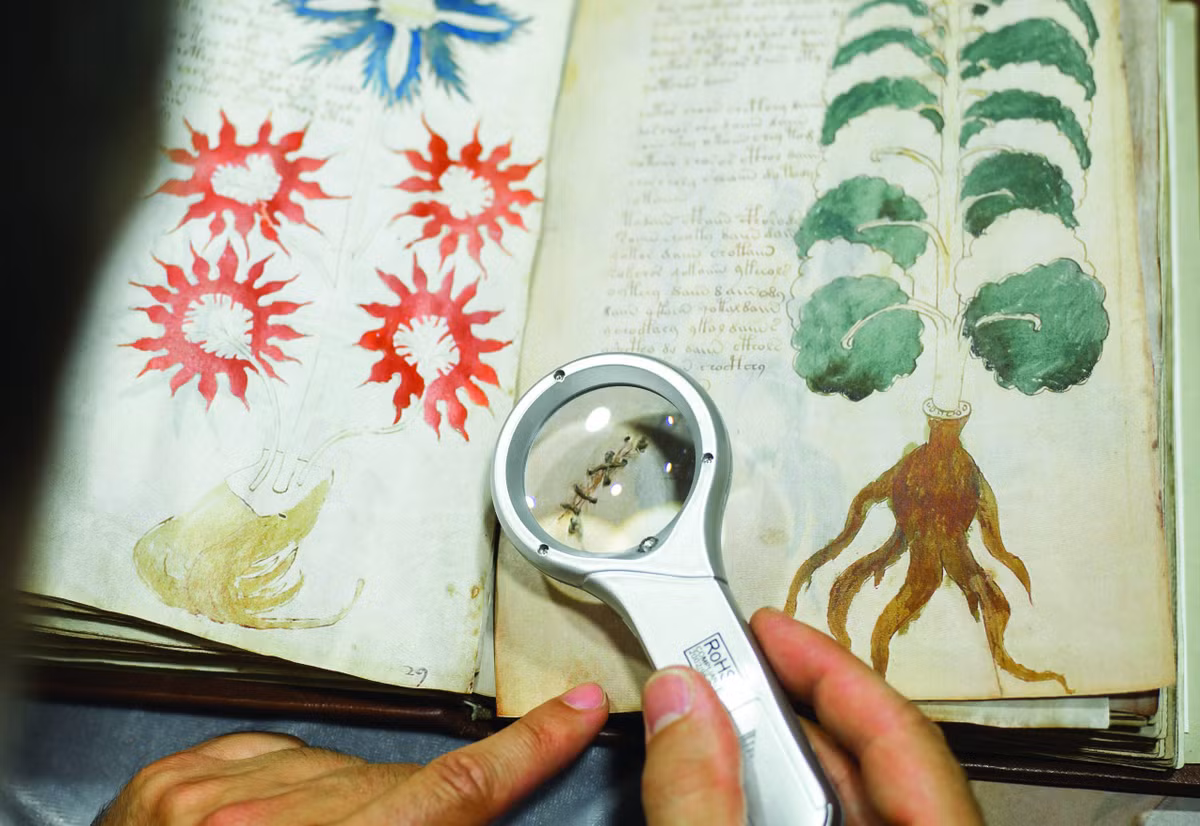 Vì mãi chưa thể đọc - hiểu nội dung trong bản thảo Voynich nên một quan điểm cho rằng tài liệu cổ xưa này có thể là một trò đùa của người xưa. Vậy nên, ngôn ngữ sử dụng trong bản thảo không thể giải mã được. Dù vậy, nhiều chuyên gia nhận định bản thảo Voynich dường như tuân theo các cấu trúc và quy luật của một ngôn ngữ thật sự. Vậy nên, giới nghiên cứu vẫn nỗ lực giải mã bản thảo Voynich bí ẩn này.