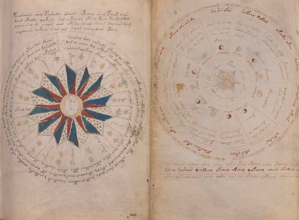 Bản thảo cổ xưa này có 240 trang chữ viết và tranh minh họa với nhiều hình ảnh kỳ lạ. Loại chữ viết được sử dụng trong bản thảo Voynich là ngôn ngữ mà các nhà khoa học chưa từng biết đến.