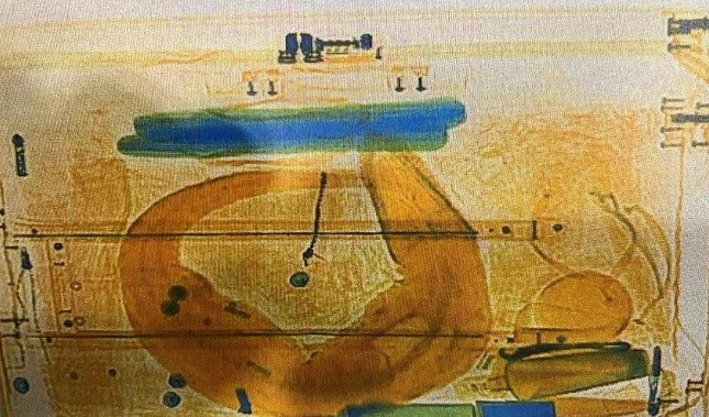 Kế quả là lực lượng chức năng phát hiện bên trong hành lý của người đàn ông có một con cá sấu bạch tạng còn sống. Nó bị bọc lại bằng màng bọc thực phẩm.