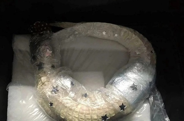 Khi kiểm tra hành lý của một người đàn ông di chuyển từ Đức với địa điểm hạ cánh là Singapore, các nhân viên an ninh tại sân bay Munich đã ghi nhận hình ảnh X-quang của một con cá sấu hiếm. Sau đó, họ thông báo cho lực lượng Hải quan sân bay Munich để kiểm tra hành lý người đàn ông bị tình nghi.