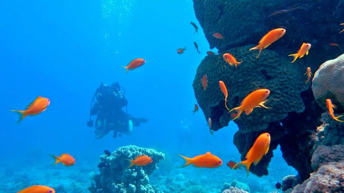 Dù lần thử nghiệm này bị bỏ dở giữa chừng nhưng tạo điều kiện cho một số nhóm nghiên cứu khác thực hiện các thử nghiệm sống dưới biển trong những thập kỷ tiếp theo.