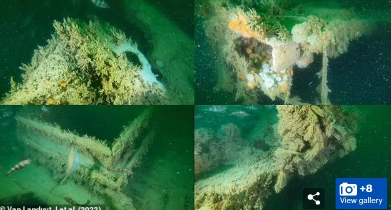 Thời gian đầu, tàu V-1302 John Mahn hoạt động như một tàu đánh cá. Sau khi Thế chiến 2 nổ ra, Đức quốc xã trưng dựng con tàu này làm nhiệm vụ tuần tra.