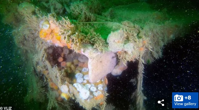 V-1302 John Mahn là xác tàu đắm Đức quốc xã nằm ở vùng Biển Bắc thuộc Bỉ. Đây là một trong số hàng nghìn xác tàu và máy bay "yên nghỉ" dọc theo đáy biển khu vực này.