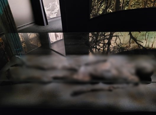 Thế nhưng, kết quả nghiên cứu cho thấy xác ướp “Người Đàn bà Haraldskær” khoảng 2.200 tuổi. Niên đại này không trùng khớp với tuổi của Nữ hoàng Gunnhild. Ngoài ra, các nhà khoa học phát hiện cổ của xác ướp có một rãnh mờ nhạt cho thấy có thể ai đó đã dùng một sợi dây thừng siết bà đến nghẹt thở. Do đó, họ nhận định người phụ nữ hơn 2.000 tuổi này là nạn nhân của một cuộc hiến tế.