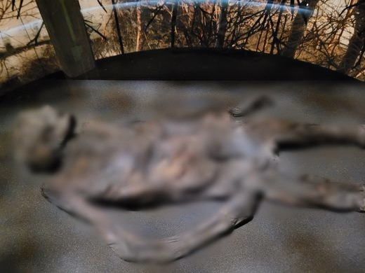 Một xác ướp đầm lầy có cái chết bạo lực được nhiều người biết đến là “Người Đàn bà Haraldskær”. Xác ướp này được tìm thấy ở Đan Mạch vào năm 1835. Sau đó, thi hài được chuyển về trưng bày tại bảo tàng tại thành phố Vejle, Đông Nam Jutland.