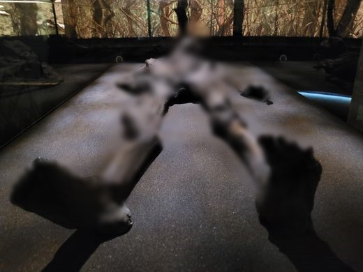 Ban đầu, các chuyên gia suy đoán “Người Đàn bà Haraldskær” là Nữ hoàng Gunnhild của Na Uy. Sở dĩ như vậy là vì một số sử liệu ghi chép vua Harald Bluetooth của Đan Mạch đã ra lệnh cho quân lính dìm chết Nữ hoàng Gunnhild trong một đầm lầy.