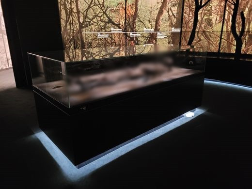 Vào thời điểm được tìm thấy, xác ướp “Người Đàn bà Haraldskær” ở trong tình trạng lõa thể bên cạnh áo choàng của bà. Theo các chuyên gia, bà bị nhấn chìm xuống đầm lầy dẫn đến tử vong.