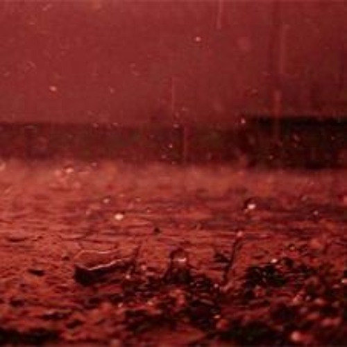 Sáng ngày 5/7/2012, "cơm mưa máu" kỳ bí xảy ra tại thành phố Kannur, Ấn Độ. Trận mưa này kéo dài trong 15 phút.