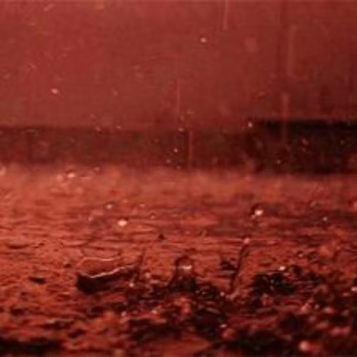 Sáng ngày 5/7/2012, "cơm mưa máu" kỳ bí xảy ra tại thành phố Kannur, Ấn Độ. Trận mưa này kéo dài trong 15 phút.