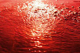 Giả thuyết khác cho rằng, gió mạnh đã cuốn những bào tử tảo đỏ ngoài biển lên những đám mây gây mưa. Từ đó tạo nên "trận mưa máu" bí ẩn.