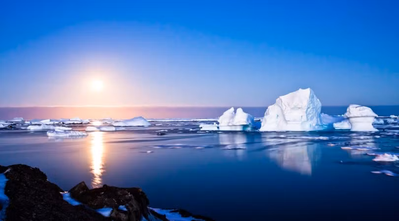 Tuy nhiên, những DNA seda được tìm thấy trước đó thường có niên đại khoảng 400.000 - 650.000 năm tuổi.