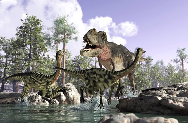 Bởi lẽ, hóa thạch phát hiện có kích thước ngang ống chân của một con voi. Các nhà nghiên cứu sẽ đến khu vực khai quật để tìm kiếm các bằng chứng với yhy vọng sẽ giúp xác định loại khủng long cũng như kích thước của nó khi còn sống.