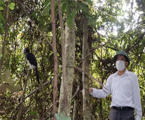 Loài chim quý này có bộ lông đen nhạt, bụng và dưới đuôi trắng. Cao cát bụng trắng có mỏ hai tầng vàng nhạt, phần giữa hai tầng mỏ đen. Ảnh: Vuonquocgiacatba.