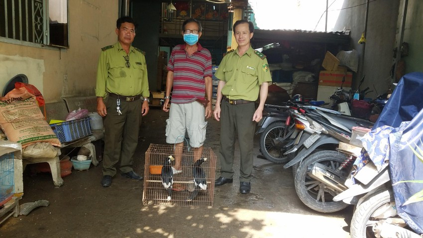 Theo ông Nguyễn Văn Năng, 2 con chim cao cát bụng trắng trện được ông mua từ một người đàn ông vào khoảng 1 tháng trước. Khi ấy, người đàn ông đến hỏi bán hai con chim cho ông Năng. Ảnh: PLO.