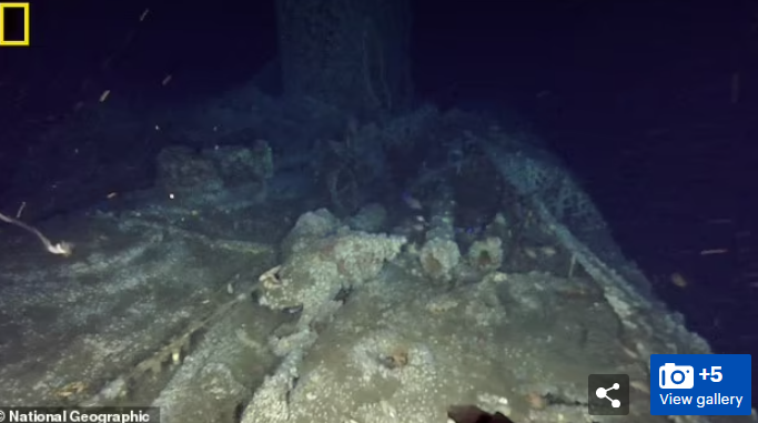 Ông Petkovic cho hay nhóm của ông vô cùng may mắn khi tìm được xác tàu ngầm SM U-111 khi thực hiện cuộc thám hiểm dưới đáy biển Đại Tây Dương.