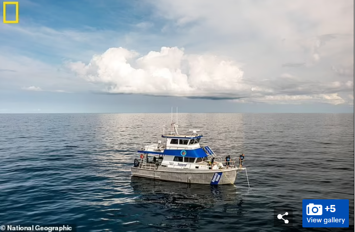 SM U-111 là một trong 5 tàu ngầm U-boat của Đức có từ Thế chiến 1 bị đánh chìm trong vùng biển của Mỹ sau khi chiến tranh kết thúc.