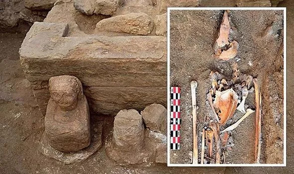 "Đền Chim ưng" nằm ở Khu phức hợp phía Bắc - một trong những tòa nhà quan trọng nhất của thành phố Berenike cổ đại. Berenike là thành phố cảng biển bị bỏ hoang từ lâu trên bờ Biển Đỏ ở phía Đông Ai Cập.