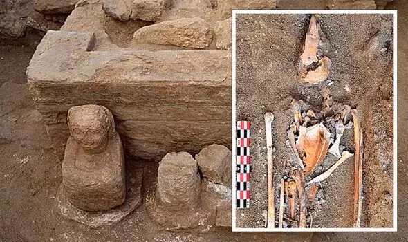 "Đền Chim ưng" nằm ở Khu phức hợp phía Bắc - một trong những tòa nhà quan trọng nhất của thành phố Berenike cổ đại. Berenike là thành phố cảng biển bị bỏ hoang từ lâu trên bờ Biển Đỏ ở phía Đông Ai Cập.