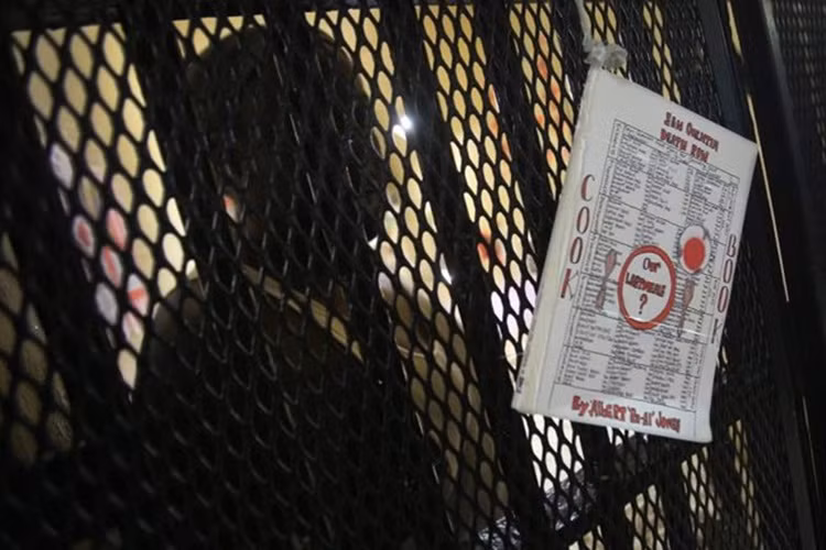 Albert Jones là một trong số ít tử tù viết sách. Một trong những tác phẩm nổi bật của anh ta là "Những bữa ăn cuối cùng của tử tù". Năm 1993, khi Albert 29 tuổi, anh ta sát hại một cặp vợ chồng lớn tuổi.