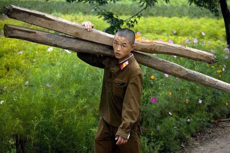 Trong khi Triều Tiên là một trong những nước có quân đội lớn nhất thế giới, nhưng nhiều đơn vị quân đội nước này vẫn phải tăng gia sản xuất để có thể tự cung tự cấp nhu yếu phẩm phục vụ sinh hoạt hàng ngày. (Nguồn: ATI)