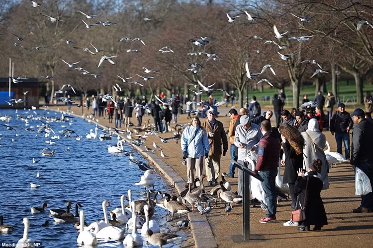 Du khách đến Hyde Park ở trung tâm London tận hưởng một ngày ấm áp, sống động chim muông.