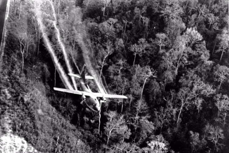 Để triệt tiêu nơi ẩn nấp của Quân giải phóng, Mỹ đã sử dụng chất độc màu da cam để làm rụng lá cây. Hậu quả tai hại còn tồn tại đến ngày nay: Chất độc màu da cam đã ảnh hưởng tai hại đến hàng triệu người Việt Nam, nhiều trẻ em sinh ra bị khuyết tật và nhiều người bị mắc bệnh ung thư.