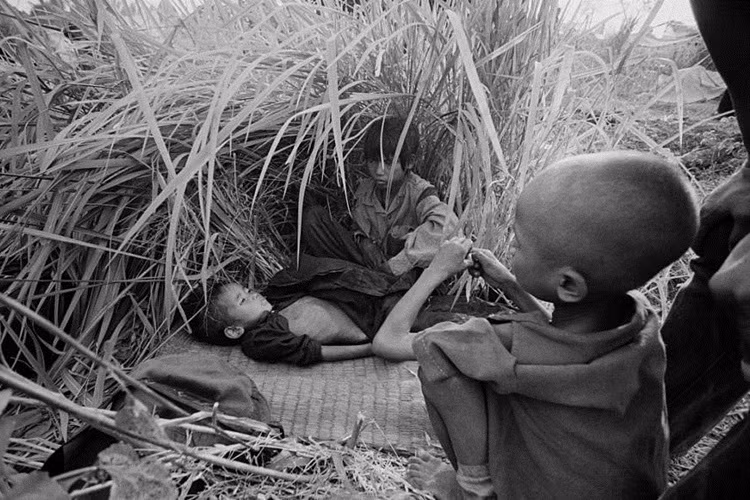 Những đứa trẻ Campuchia trốn trong bụi cỏ ở Aranyaprathet, Thailand. 1979. Ảnh: Getty Images