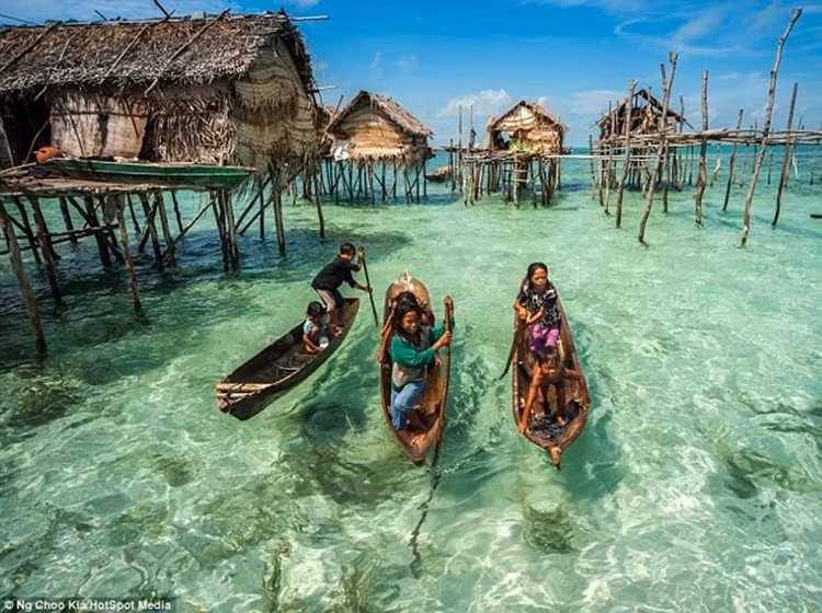 Hinh anh bo toc du muc bien cuoi cung tren the gioi-Hinh-4