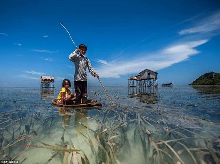 Hinh anh bo toc du muc bien cuoi cung tren the gioi-Hinh-12