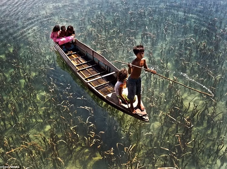 Hinh anh bo toc du muc bien cuoi cung tren the gioi-Hinh-8