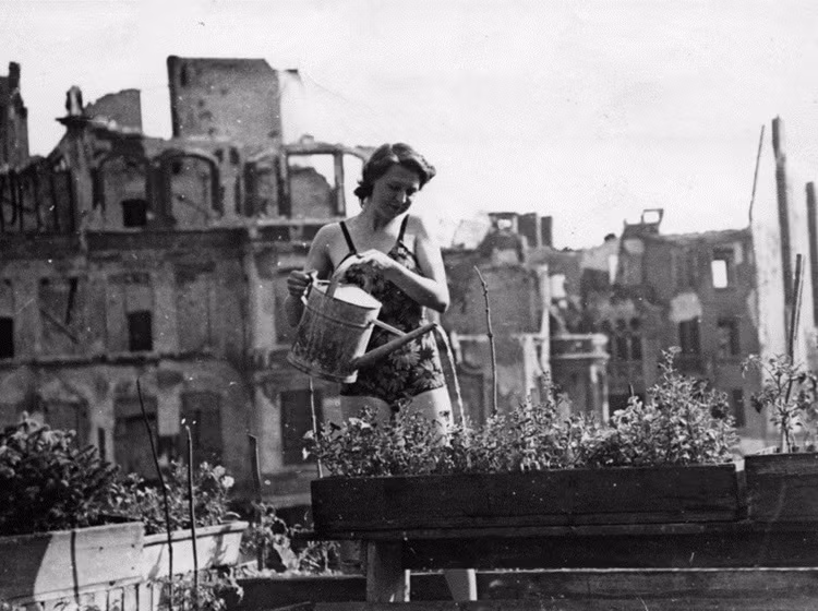 "Cái khó ló cái khôn", cư dân Berlin tự trồng rau trên đống đổ nát.