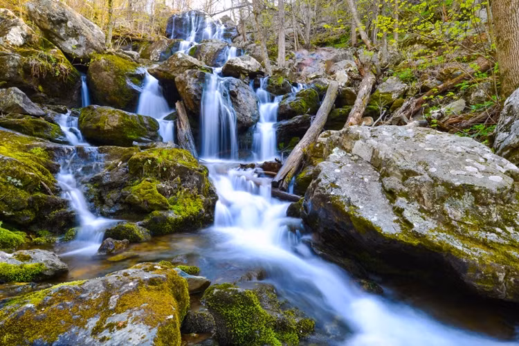 Chiem nguong ve dep ky ao cua cac Cong vien quoc gia My-Hinh-2