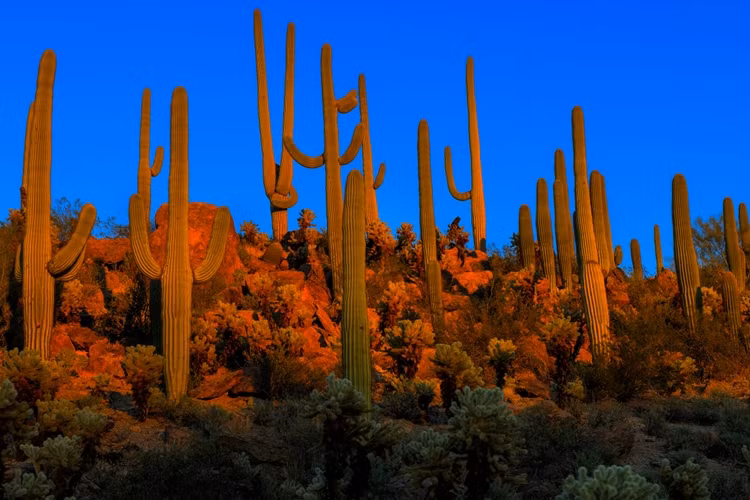 Chiem nguong ve dep ky ao cua cac Cong vien quoc gia My-Hinh-4