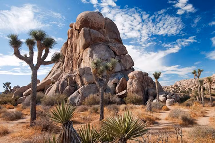 Chiem nguong ve dep ky ao cua cac Cong vien quoc gia My-Hinh-8