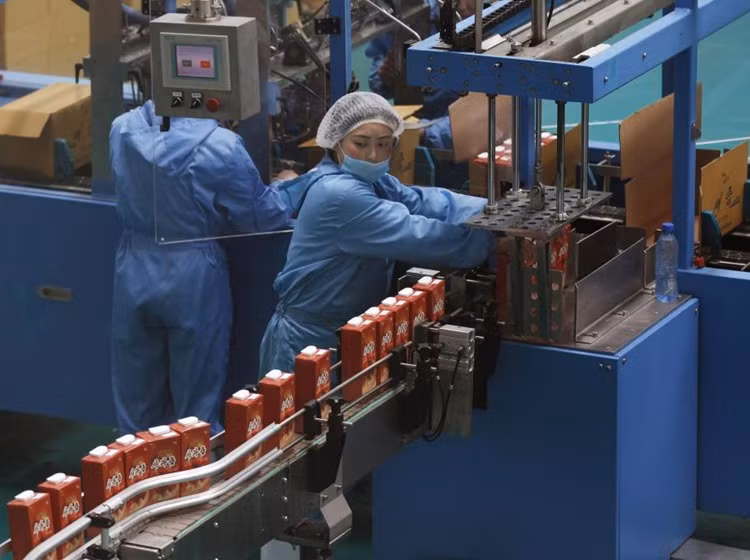 Nữ công nhân làm việc tại một nhà máy sản xuất nước hoa quả gần nông trại Daedonggang.