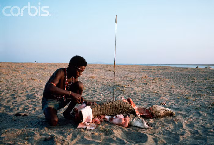 Những người đàn ông tham gia vào cuộc săn bắn, đều được phụ nữ của bộ tộc trao tặng chiếc vòng và hoa tai đặc biệt nhằm có thêm sức mạnh.